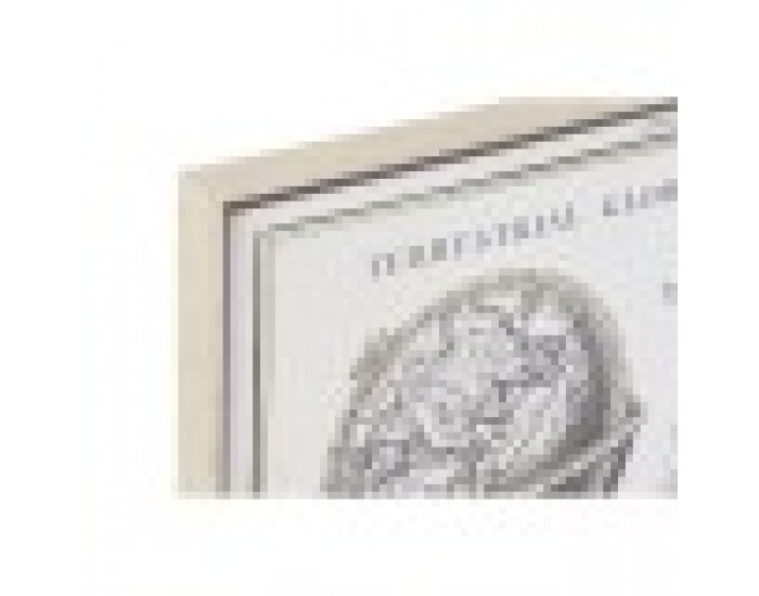 Картина DKD Home Decor Карта на Света (95 x 3 x 65 cm) Картина DKD Home Decor Карта на Света (95 x 3 x 65 cm)