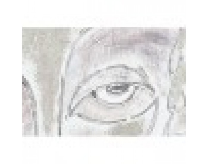 Картина DKD Home Decor Лице Колониален (80 x 3,7 x 100 cm) (2 броя)