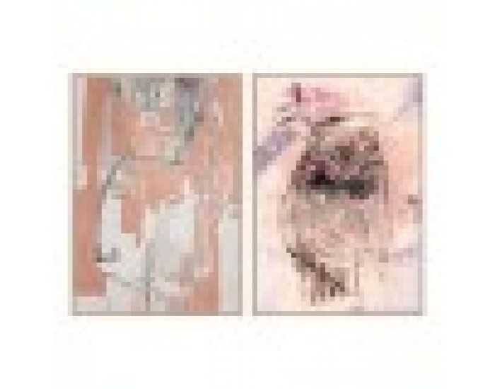 Картина DKD Home Decor Дама (2 pcs) (83 x 4.5 x 123 cm)