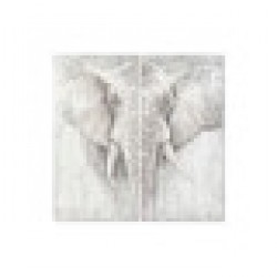 Комплект от 2 снимки DKD Home Decor Слон Колониален (120 x 3,7 x 120 cm) (2 pcs) - Картини, Плакати, Пъзели