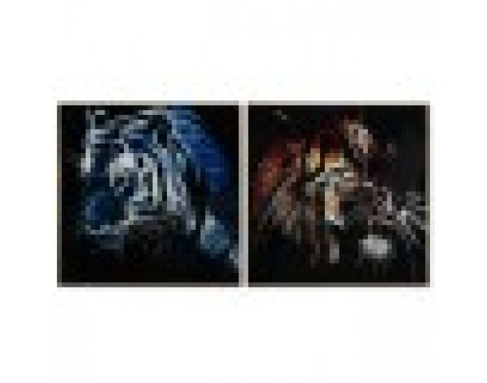 Картина DKD Home Decor Тигър 80 x 3 x 80 cm Модерен (2 броя)