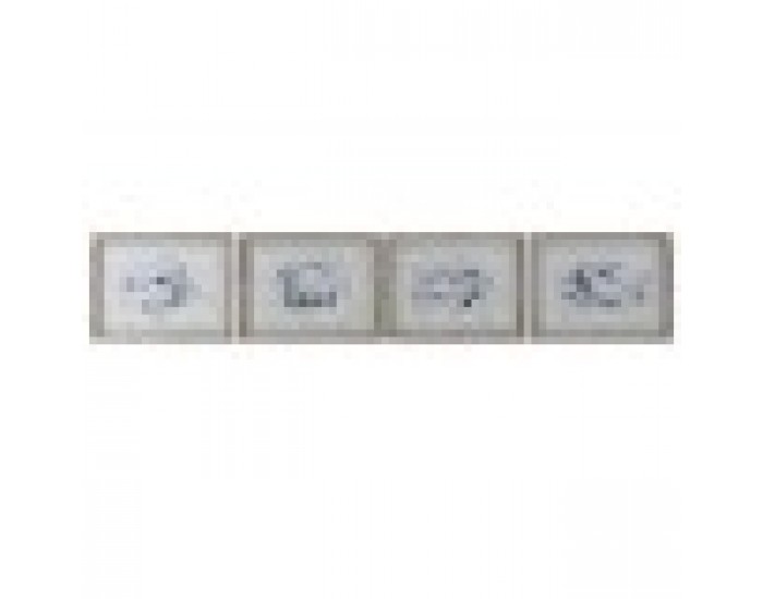 Картина Home ESPRIT Сив Риба (4 броя) Картина Home ESPRIT Сив Риба (4 броя)