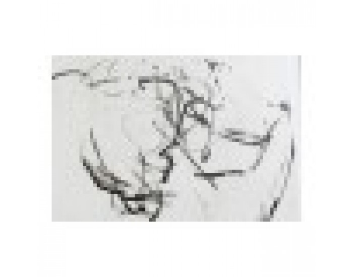 Картина DKD Home Decor Hall Дама Модерен (110 x 5 x 157 cm)