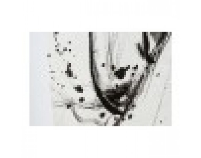 Картина DKD Home Decor Hall Дама Модерен (110 x 5 x 157 cm)