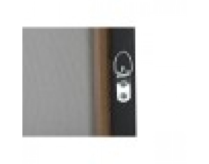 Картина Home ESPRIT Черен Бежов Златен Кадифе Шапка Модерен (2 броя)