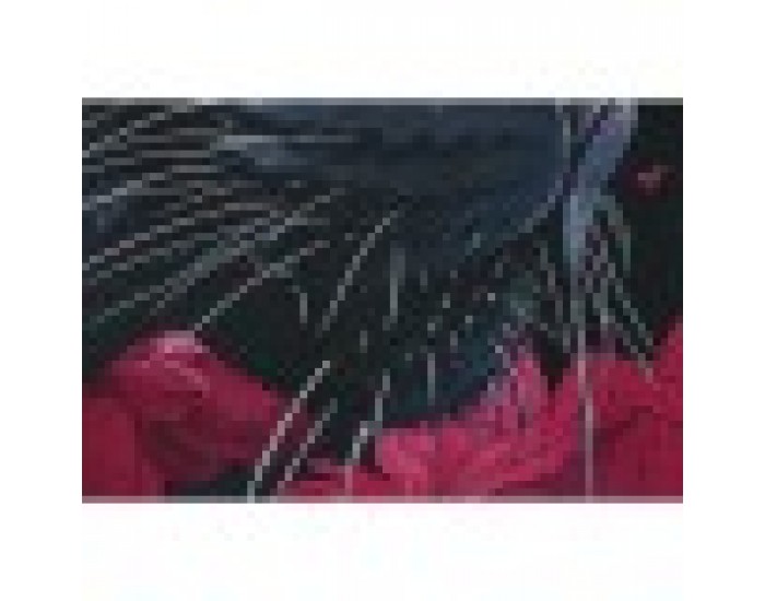 Картина Home ESPRIT Черен Розов 83 x 4 x 123 cm (2 броя)