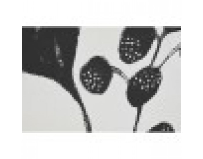 Картина Home ESPRIT Черен Бежов Цвете Град 75 x 4 x 100 cm (2 броя)