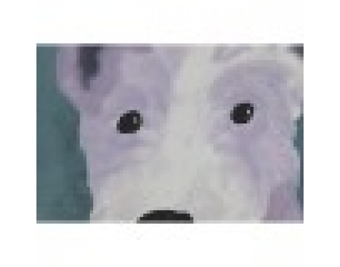 Картина Home ESPRIT Син Зелен Оранжев Град 50 x 2 x 50 cm (4 броя)