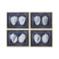 Картина Home ESPRIT Раковина 60 x 2,5 x 45 cm (4 броя) - Картини, Плакати, Пъзели