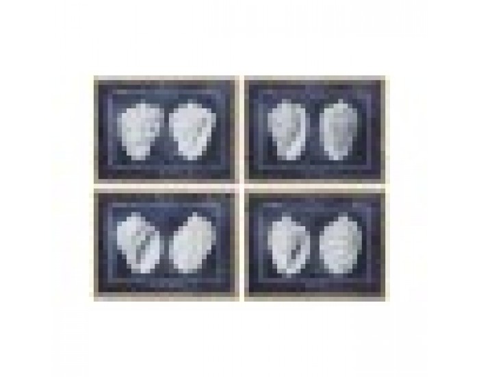 Картина Home ESPRIT Раковина 60 x 2,5 x 45 cm (4 броя)