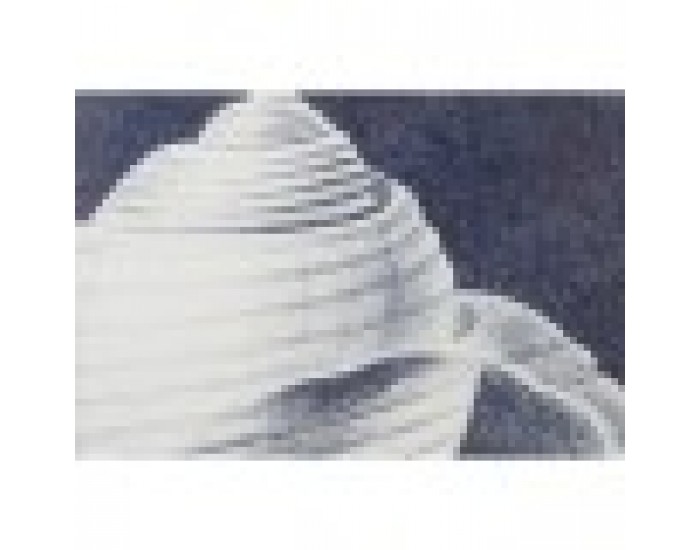 Картина Home ESPRIT Раковина 60 x 2,5 x 45 cm (4 броя)