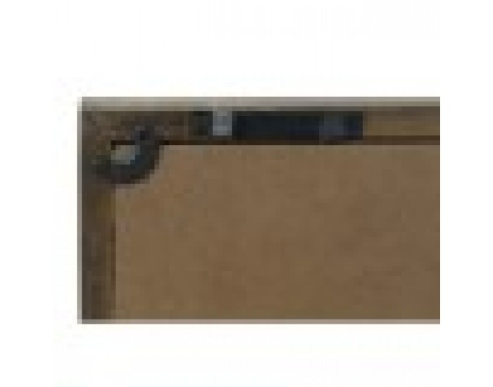 Картина Home ESPRIT Раковина 60 x 2,5 x 45 cm (4 броя)