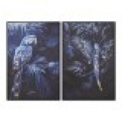 Картина Home ESPRIT Син Черен Златен Папагал Тропически 83 x 4 x 123 cm (2 броя) - Дневна