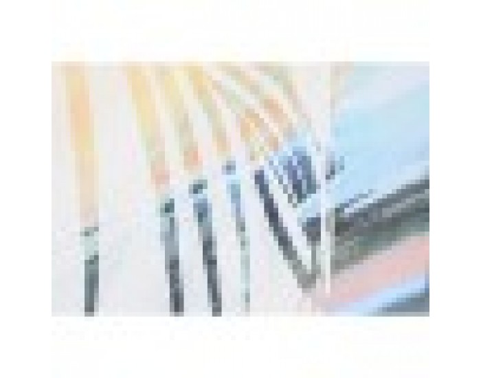 Картина DKD Home Decor Палми Тропически (100 x 4 x 100 cm) (2 броя) Картина DKD Home Decor Палми Тропически (100 x 4 x 100 cm) (2 броя)