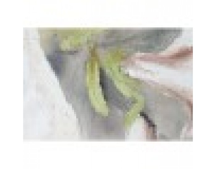 Картина Home ESPRIT Тропически 90 x 3,7 x 120 cm (2 броя) Картина Home ESPRIT Тропически 90 x 3,7 x 120 cm (2 броя)