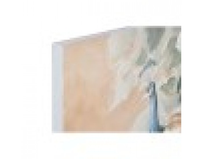 Картина Home ESPRIT Тропически 90 x 3,7 x 120 cm (2 броя) Картина Home ESPRIT Тропически 90 x 3,7 x 120 cm (2 броя)