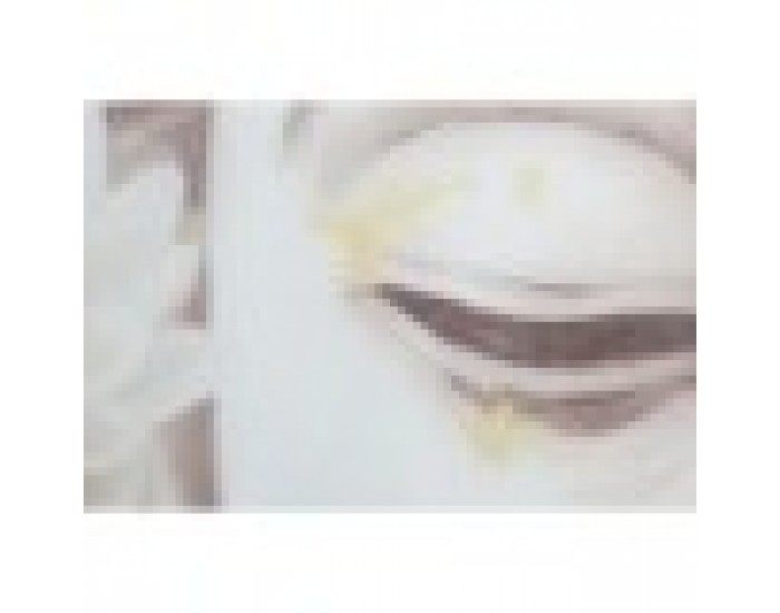 Картина DKD Home Decor Буда Ориенталски (80 x 4 x 120 cm) (2 броя)