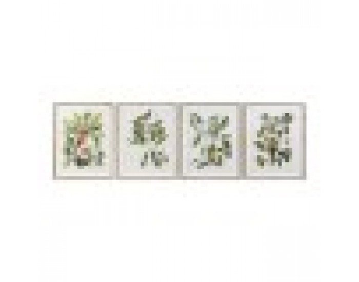 Картина DKD Home Decor Bird (55 x 2.5 x 70 cm)