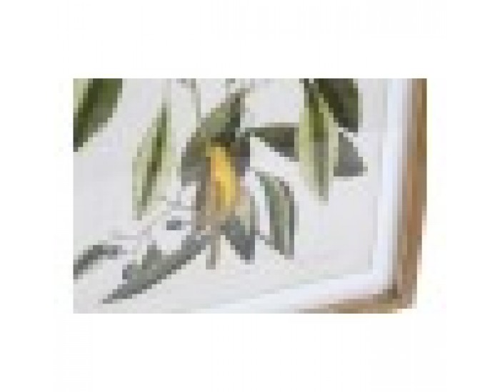 Картина DKD Home Decor Bird (55 x 2.5 x 70 cm)