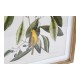 Картина DKD Home Decor Bird (55 x 2.5 x 70 cm)