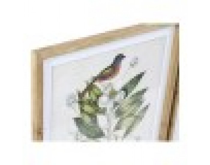Картина DKD Home Decor Bird (55 x 2.5 x 70 cm)
