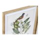 Картина DKD Home Decor Bird (55 x 2.5 x 70 cm)