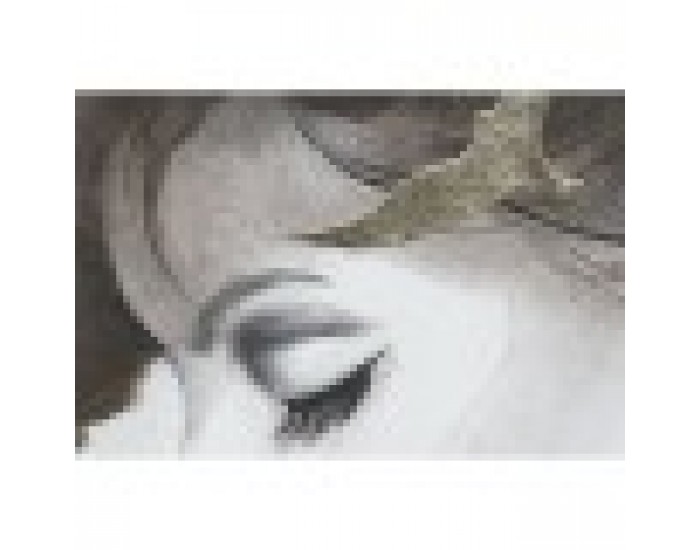 Картина DKD Home Decor Дама 100 x 4 x 100 cm (2 броя)