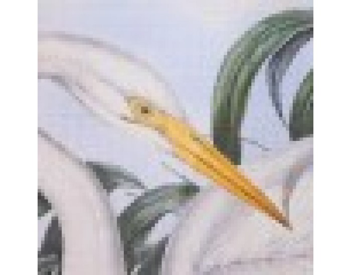 Картина DKD Home Decor Ела Кристал (70 x 50 x 2 cm) (4 броя)