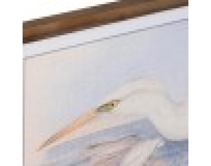 Картина DKD Home Decor Ела Кристал (70 x 50 x 2 cm) (4 броя)