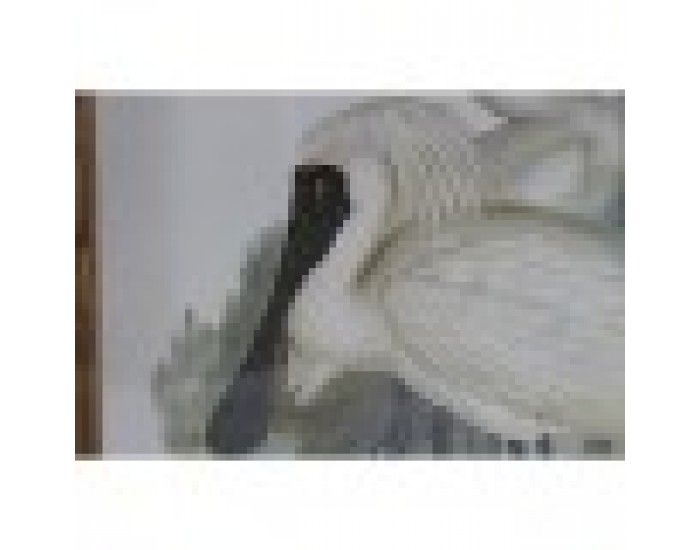 Картина DKD Home Decor Птици Ориенталски 45 x 3 x 60 cm (4 броя)