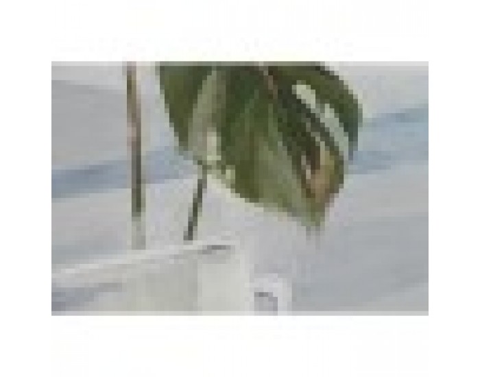 Картина Home ESPRIT Скандинавски 80 x 3,5 x 120 cm (2 броя)