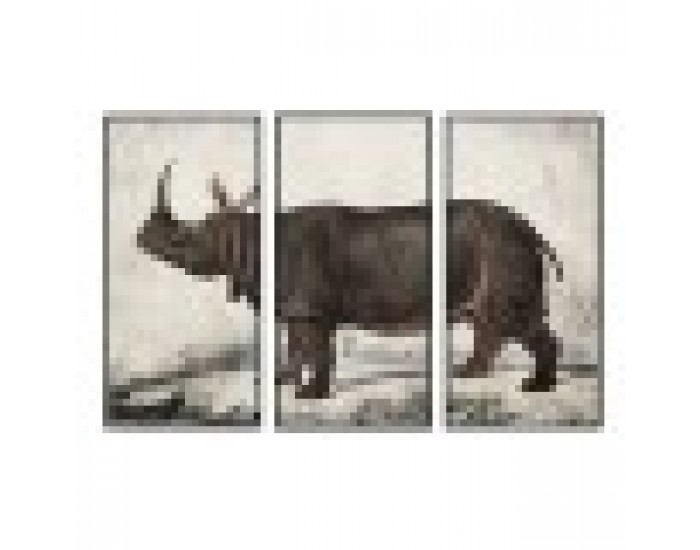 Картина DKD Home Decor Колониален Носорог (180 x 4 x 120 cm)
