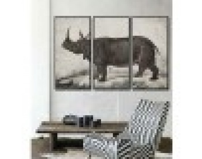 Картина DKD Home Decor Колониален Носорог (180 x 4 x 120 cm)