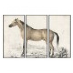 Картина DKD Home Decor Кон (180 x 4 x 120 cm) - Картини, Плакати, Пъзели