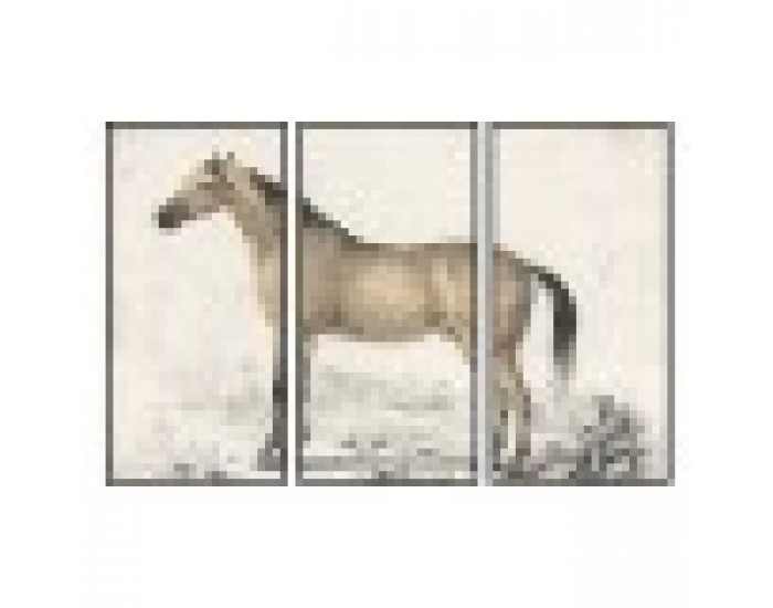 Картина DKD Home Decor Кон (180 x 4 x 120 cm)