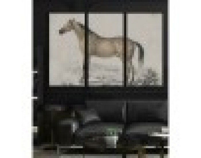 Картина DKD Home Decor Кон (180 x 4 x 120 cm)