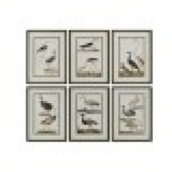 Картина Home ESPRIT Птици Cottage 40 x 2,5 x 54 cm (6 броя) - Картини, Плакати, Пъзели