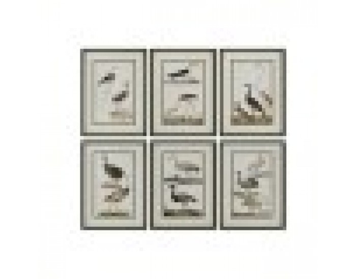 Картина Home ESPRIT Птици Cottage 40 x 2,5 x 54 cm (6 броя) Картина Home ESPRIT Птици Cottage 40 x 2,5 x 54 cm (6 броя)