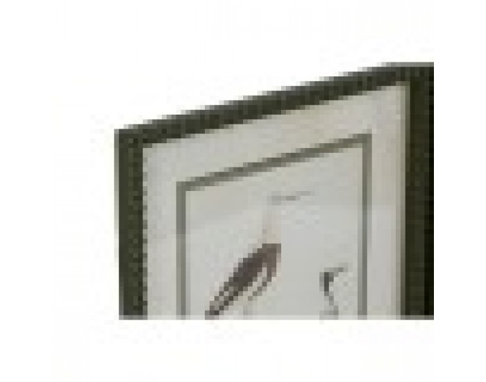 Картина Home ESPRIT Птици Cottage 40 x 2,5 x 54 cm (6 броя) Картина Home ESPRIT Птици Cottage 40 x 2,5 x 54 cm (6 броя)