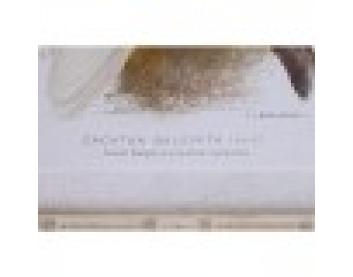 Пластно DKD Home Decor (50 x 2,8 x 65 cm) (50 x 65 x 2.8 cm) (4 броя)