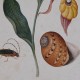 Картина DKD Home Decor Ела Кристал Lilled (50 x 2,5 x 65 cm) (4 броя) Картина DKD Home Decor Ела Кристал Lilled (50 x 2,5 x 65 cm) (4 броя)
