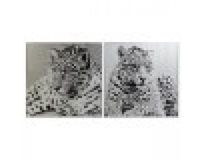 Картина DKD Home Decor Леопард Колониален (100 x 2,5 x 100 cm) (2 броя) Картина DKD Home Decor Леопард Колониален (100 x 2,5 x 100 cm) (2 броя)
