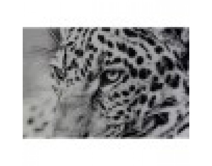 Картина DKD Home Decor Леопард Колониален (100 x 2,5 x 100 cm) (2 броя) Картина DKD Home Decor Леопард Колониален (100 x 2,5 x 100 cm) (2 броя)