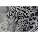 Картина DKD Home Decor Леопард Колониален (100 x 2,5 x 100 cm) (2 броя) Картина DKD Home Decor Леопард Колониален (100 x 2,5 x 100 cm) (2 броя)