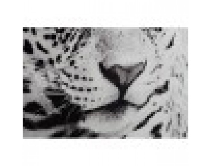 Картина DKD Home Decor Леопард Колониален (100 x 2,5 x 100 cm) (2 броя) Картина DKD Home Decor Леопард Колониален (100 x 2,5 x 100 cm) (2 броя)