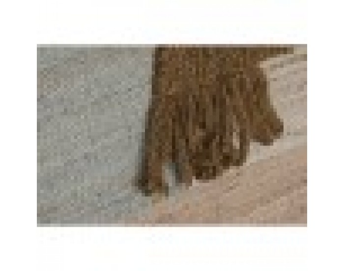 Картина Home ESPRIT Кафяв Зелен Абстрактен Модерен 75 x 3 x 105 cm (2 броя)