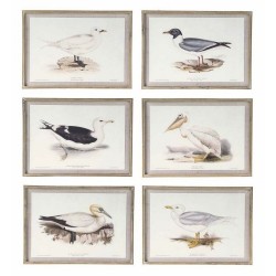 Картина DKD Home Decor Птици (70 x 2,5 x 50 cm) (6 броя) - Картини, Плакати, Пъзели