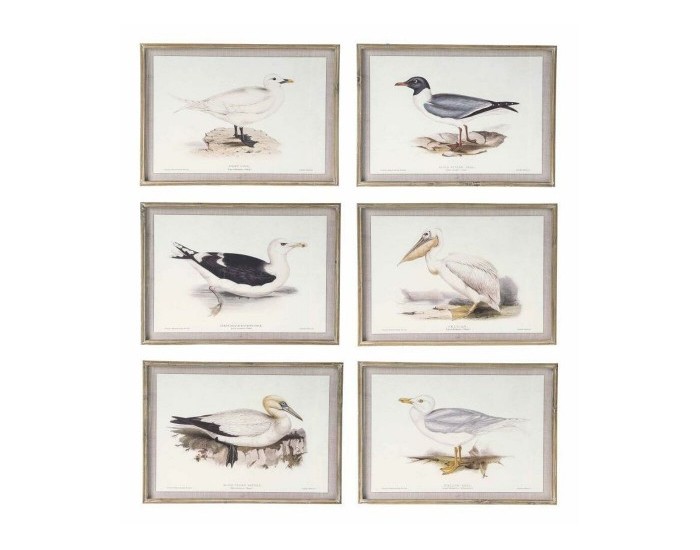 Картина DKD Home Decor Птици (70 x 2,5 x 50 cm) (6 броя)