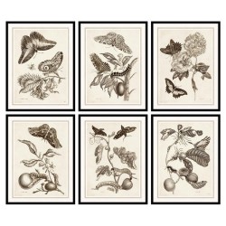 Картина DKD Home Decor Lilled (50 x 2.5 x 65 cm) (6 pcs) - Картини, Плакати, Пъзели