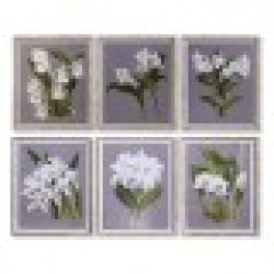 Картина DKD Home Decor Ела Кристал Lilled (50 x 60 x 2,8 cm) (6 броя) - Картини, Плакати, Пъзели
